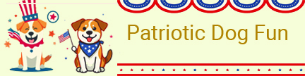 Category2PatrioticFun.jpg