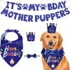 iMounTEK — Dog Birthday Party Kit — Banner Hat Bandana Bowtie Festive Puppy Celebration Decor Memorable Star Theme