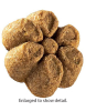 I and Love and You Fruitables Pumpkin Apple Crunchy Treats Natural Low Fat Baked Snacks Digestion Support Dental Friendly Crunch Breeds