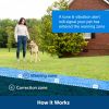 PetSafe Classic In Ground Fence Receiver Collar Multi Mode Static Module