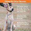 SportDOG UplandHunter Add-A-Dog Replacement Receiver Collar Remote Beeper
