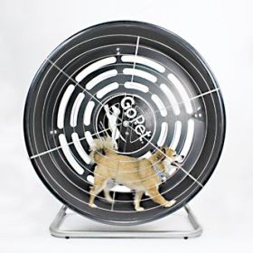 GoPet Treadmill Wheel Small Dog Exercise Running