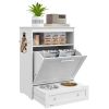 PawHut Feeder Station Storage Two Raised Bowls Furniture Design Stylish Organization Elevated Daily Feeding Setup