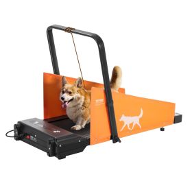 Dog Treadmill Electric Equipment Exercise