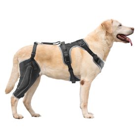 Dog Knee Brace Right Leg Adjustable ACL Support Brace Pain Relief