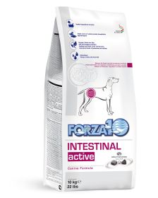 Active Dog Intestinal 22lb Dry Food Sensitive Formula
