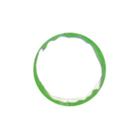 Fruitables Pumpkin Apple Crunchy Treats Healthy Natural Low Fat Baked Snacks Supports Digestion Dental Health All Dog Breeds