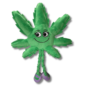 My Name is Mary Jane Cute Stuffed Parody Marijuana Leaf Dog Toy Funny Squeaky Weed Cool Plush Novelty 420 Gift