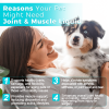Welsdom Joint and Muscle Support Liquid Supplement Dogs Flexibility Mobility Anti Inflammatory Antioxidant Benefits Daily Comfort Wellness