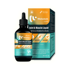 Joint Muscle Liquid Dogs Natural Supplement Mobility Comfort