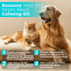 Welsdom Calming Oil Liquid Supplement Dogs Natural Stress Relief Emotional Support Easy Oral Administration Daily Calming Wellness