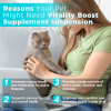Welsdom Vitality Boost Liquid Supplement Dogs Energy Metabolism Coat Health Immune Enhancing Nutrients Daily Wellness Support