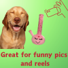 PAW:20 My Name Is Harmony Bong Funny Squeaky Weed Dog Toy Cute Stuffed Parody Pot Bong Cool Plush 420 Novelty Gift Play
