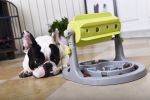 Pet Life Roto Paw Dog IQ Training Interactive Rotating Slow Dog Feeder Treat Dispensing Puzzle Enrichment Play