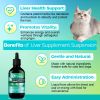 Welsdom Detoxification Supplement Suspension Natural Detox Liver Health Digestive Support Antioxidant Rich Immune Function Daily Wellness