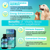 Welsdom Vitality Boost Liquid Supplement Dogs Energy Metabolism Coat Health Immune Enhancing Nutrients Daily Wellness Support