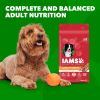 Iam's Health Minichunks Dry Dog Food With Real Lamb Rice Balanced Nutrition Adult Small Medium Dogs 15 Lb