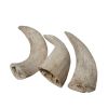 Water Buffalo Horn Inner Core Dog Chew 100 Percent Natural High Protein Long Lasting Grain Free Dental Support Design