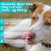 Welsdom Calming Chewable Tablets Dogs Natural Botanicals Stress Relief Omega 3 Support Digestive Health Benefits Daily Wellness