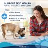 Salmon Chicken Liver Potato Wet Dog Food Skin Coat Allergy Support Omega Vitamin Mineral Formula