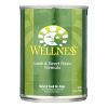 Wellness Lamb Sweet Potato Carrot Flaxseed Whitefish Wet Dog Food 12 Pack Grain Free Natural Balanced Nutrition Healthy Homestyle Meal