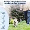PetSafe Lite Remote Trainer Handheld Rechargeable 100 Yards Compact Obedience