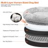 Human Dog Bed Bean Bag Plush Orthopedic Foam Supportive Ergonomic Sleep Napping Entertainment Puppy