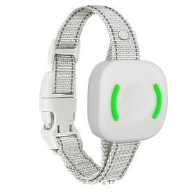 Dog Training Collar Receiver 3 Modes IP67 150lbs Rechargeable Effective Ability Lighting Standby Puppy Teach Waterproof USB