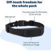 PetSafe Guardian GPS Dog Fence Add a Dog Receiver Replacement Satellite Collar