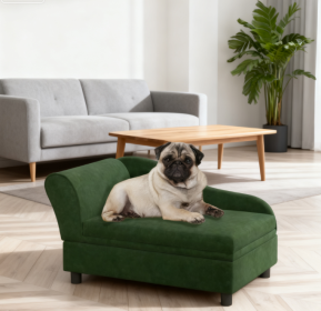 Dog Bed Elevated Soft Cushion Couch W/Storage Green CCS