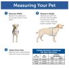 PetSafe Wall Entry Dog Door Small Telescoping Tunnel Double Flap Locking