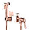 Dog Grooming Sprayer Handheld Toilet Bidet Spray Gun Rose Gold CCS