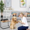 Dog Bowls Stainless Steel with Stand 2 Raised Bowls Elevated Feeder CCS