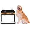 Dog Bowls Stainless Steel with Stand 2 Raised Bowls Elevated Feeder CCS