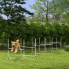 Dog Agility Set 6-Piece Adjustable Jump Bars Carry Bag Obstacles CCS