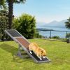 Dog Agility Seesaw Gray Wooden Training Exercise 71x12x12 Inch Ramp