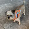 Safetypup XD Orange Dog Bandana High Visibility 3M Reflective Trail Safety Small