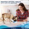 Forza10 Actiwet Dog Food Hypo Lamb Specialty Diet Pasture Raised Case 32 Tubs