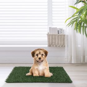 Indoor Potty Training System Synthetic Grass Replacement Mat Pad 2 Pack CCS