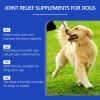 Yegbong Dog Joint Supplement Nutrition Care Joint Health Agent Liquid 1 fl oz