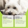 Yegbong Dog Liver Care Liquid Liver Kidney Supplement Milk Thistle Drops 2 oz