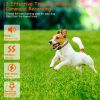 Dog Training Collar 984 Range 4 Modes 3 Channels Rechargeable CCS
