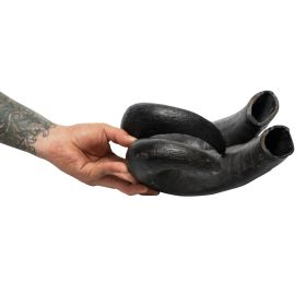 Water Buffalo Horn Chews 100 Percent Natural Dental Treats 2 Count CCS
