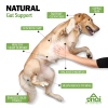 Probiotics Dog Supplement Digestive Health Chews Healthy Gut CCS