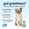 Probiotics Dog Supplement Digestive Health Chews Healthy Gut CCS