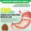 Probiotics Dog Supplement Digestive Health Chews Healthy Gut CCS