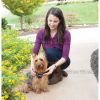 PetSafe Free to Roam Wireless Fence Portable Half Acre Yard Containment System