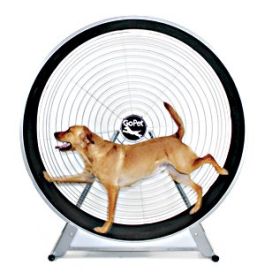 GoPet TreadWheel Large Dogs Exercise Machine Heavy-Duty Sturdy