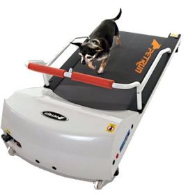 PetRun PR700 Dog Treadmill Motorized Indoor Cardio Exercise Small Medium Breeds Remote Control
