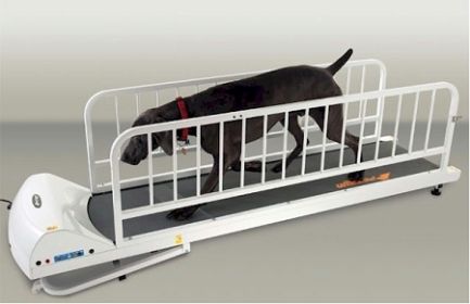 PetRun PR725 Dog Treadmill Heavy Duty Athletic Conditioning Large Breeds 71 Inch Deck